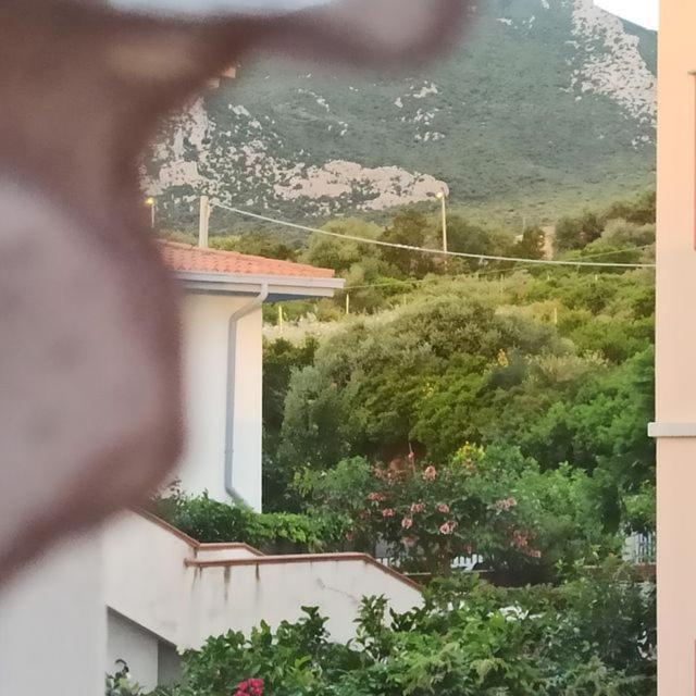 Haiku Home Cala Gonone Esterno foto